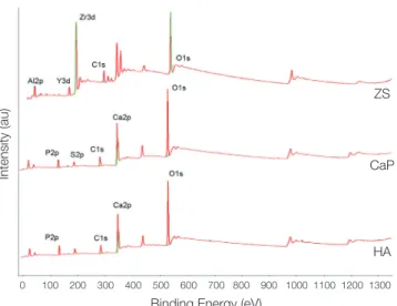 Fig. 7.  Concentrations of the released (A) Ca 2+  and (B) P -  from the coatings obtained