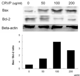 Fig. 8. Effects of CRVP on expression level  of caspase 9 in MDA-MB-231 cells.