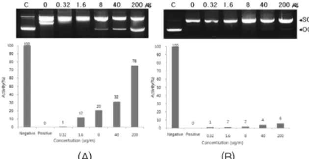 Figure  3.  Protective  effect  of  the  seed  extracts  from  Nelumbo  nucifera   against  oxidative  DNA  damage  by  intracellular  DNA  migration  assy