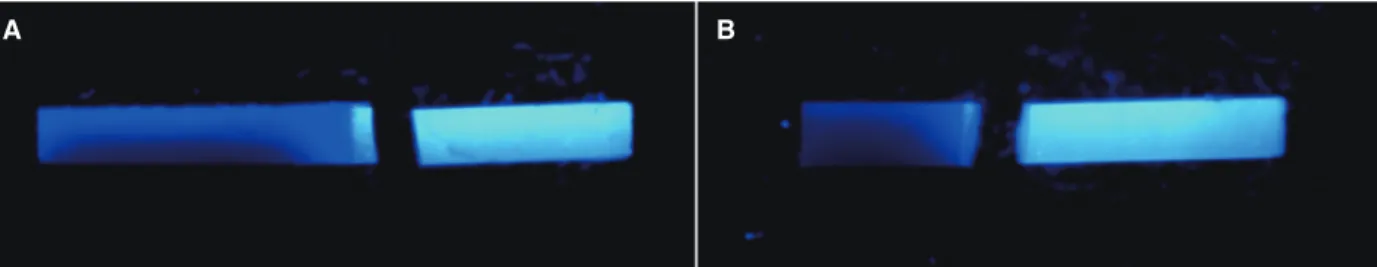 Fig. 2.  Schematics of fractured microbar of Lava TM  Frame/ Lava TM  Ceram under fluorescent black light shows similar  appearance as IPS e.max ®  microbars