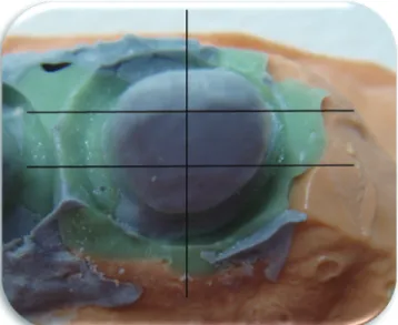 Fig. 1.  Silicone replica. Black lines indicate the intersections  for specimens preparation.