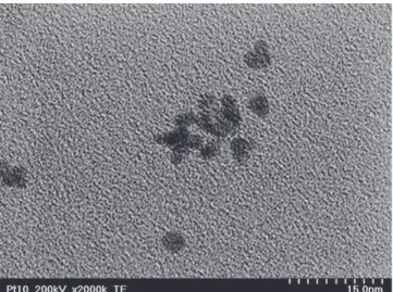 Fig. 1.  TEM micrograph of PtN prepared in this study. 