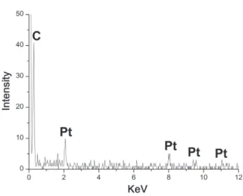 Fig. 2.  The SEM/EDX pattern of PtNC electrode. The  spectrum shows the characteristic peaks of Pt representing  successful loading of PtN into PMMA
