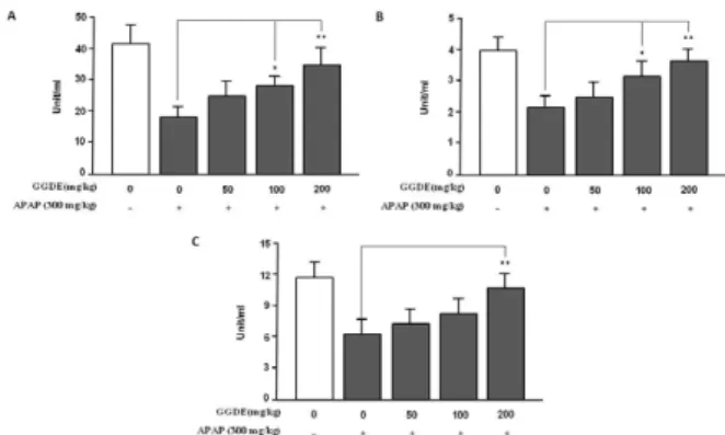Fig.  5.    Effect  of  GGDE  on  SOD  (A),  catalase  (B)  and  GPx  (C)  acivity  in  the  live  tissues  of  APAP-treated  mice