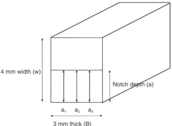 Fig. 3.  Schematic diagram of the critical flaw size: a the  crack depth; 2b the crack width