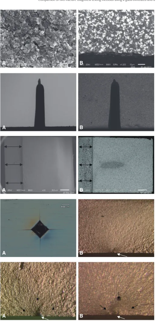 Fig. 4.  The microstructural features  of the zirconia-based at 
