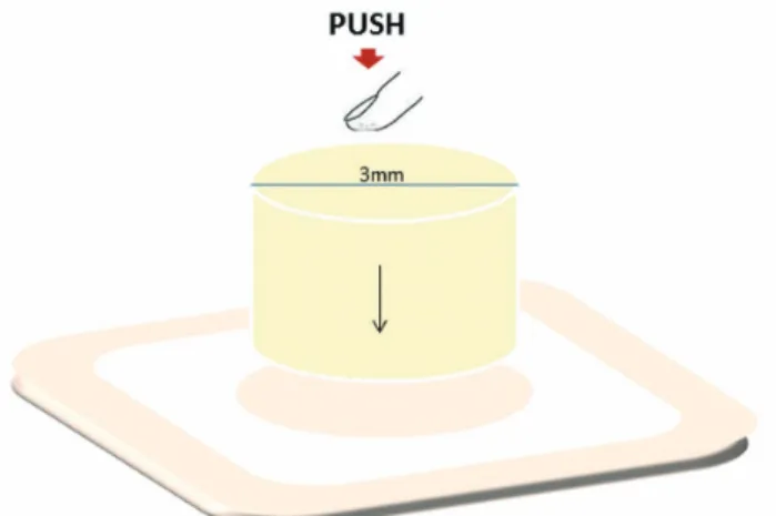Fig. 1.  Demostration of the composite cylinder bonding  to the ceramic.