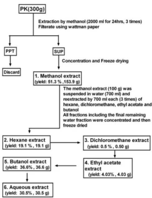 Fig.  1.  Extraction  and  fractionation  procedures  of  PK