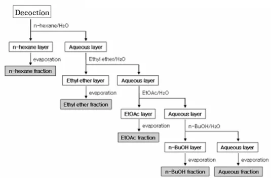Fig.  1.  Procedure  of  various  solvent  fractions  from  decoction  extract  of  Andrographitis  Herba .