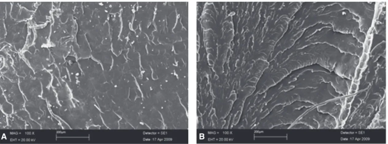 Fig. 7.  N6 fiber-added specimen (original mag- mag-nifications ×300).