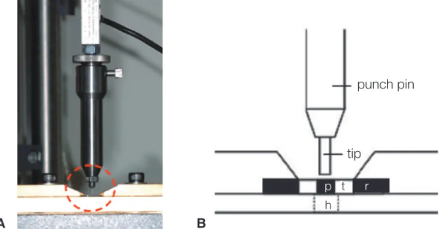 Fig. 3.  Assembly of the push-out bond strength test. (A) photograph of the assembly installed on a universal testing  machine, (B) a magnified schematic diagram of the circled area of (A) (p: post, t: tooth, r: acrylic resin, h: hole for the  post being p