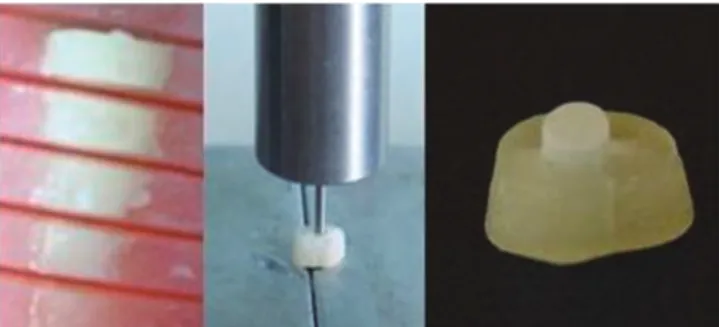 Fig. 2.  The failure photographs of each group. (A) Adhesive in dentin, (B) Adhesive  in post, (C) Mixed, (D) Cohesive.