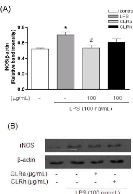 Fig. 5. Effect of CLRa and CLRh on the LPS-induced production of NO in BV2 cells