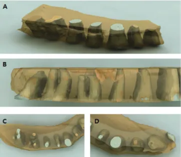 Fig. 2. Items of measurements of each sectioned 