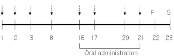 Fig.  1.  Experimental  schedule