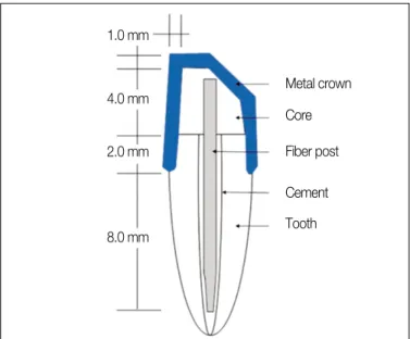 Fig. 1. Schematic design of specimen.