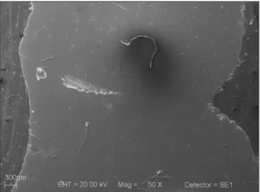 Fig. 4. SEM image of the coronal section of the diagonally welded framework.