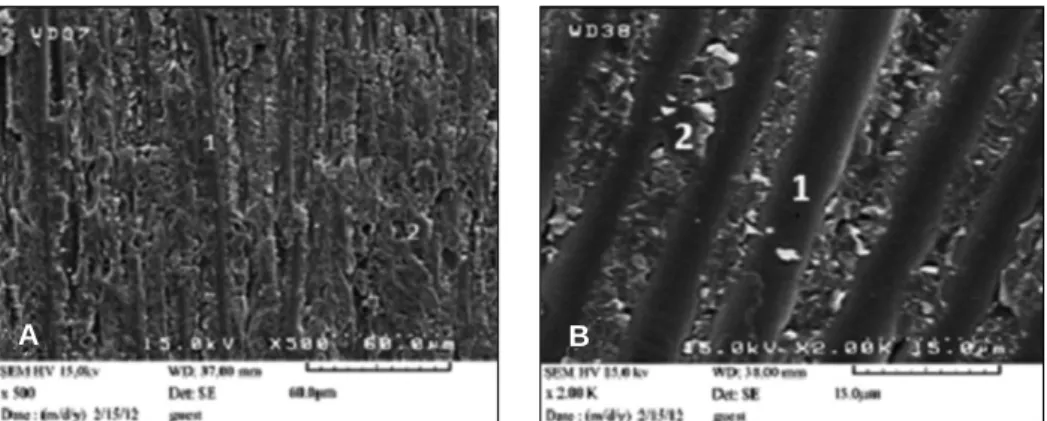 Fig. 4. SEM views of the fractured surface showing adhesive failure in the acetone group (G4)
