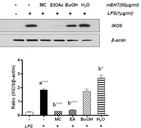 Fig.  5.  Effects  of  the  mBHT  fractions  on  LPS-induced  iNOS  expression  in  BV2  cells 