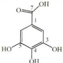 Fig.  1.  Chemical  structure  of  methyl  gallate