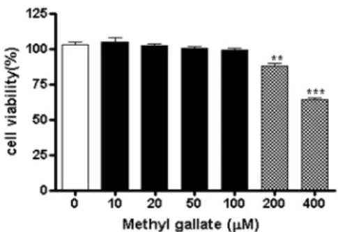 Fig.  2.  Effects  of  methyl  gallate  on  the  viability  of  RAW264.7  cells