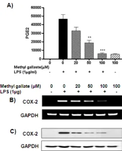 Fig.  3.  Effects  of  methyl  gallate  on  NO  production  in  LPS-stimulated  of  RAW264.7  cells