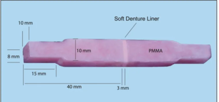 Fig. 1. Acrylic resin specimen lined with 3 mm thickness of resilient liner.