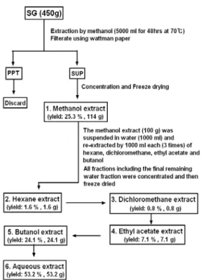Fig.  1.  Extraction  and  fractionation  procedures  of  MT