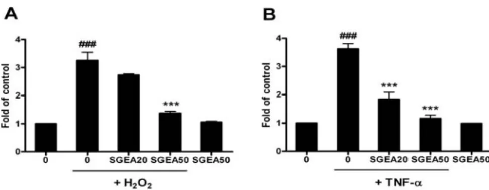 Fig.  4.  Inhibitory  effect  of  SGEA  extracts  on  intracellular  oxidation  in  HUVEC  induced  by  H2O2  and  TNF- α