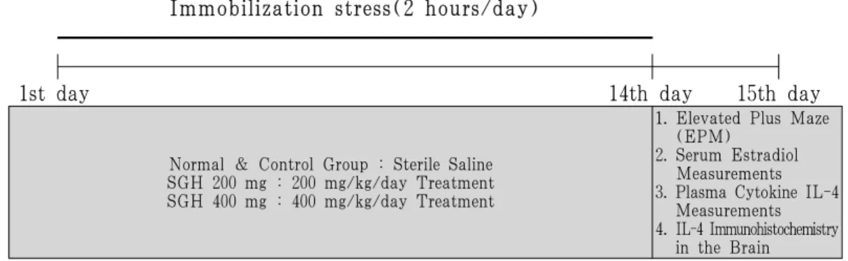 Fig. 1. Experimental Procedure.