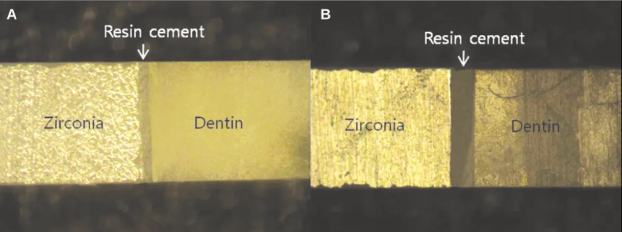 Fig. 3. Measurement of cement thickness. Microbeams with cement thicknesses of 40 (A) and 160 μm (B).