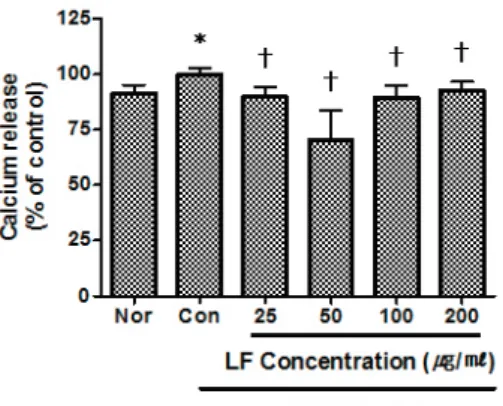 Fig. 16. Effect of LF on Ca Release of  RAW 264.7 Cell Treated with LPS. 