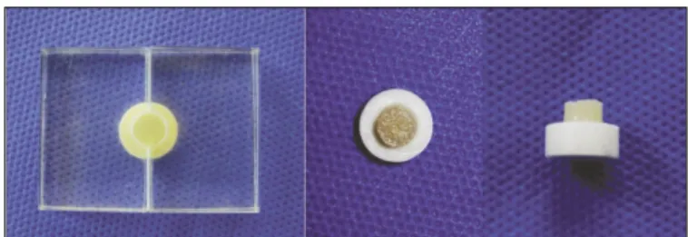 Fig. 1. Adjustable Plexiglas mold for condensing the veneering ceram- ceram-ic and prepared specimens for SBS test.