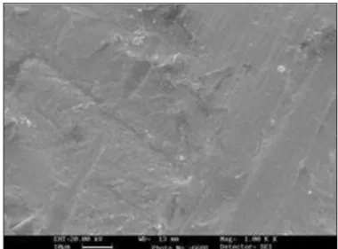 Fig. 3. SEM micrographs of ground subgroup in white zirconia group after shear bond strength testing (original magnification ×1000).
