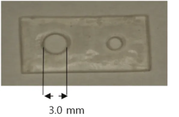 Fig. 1. Special resin stent for preparation of laser hole.