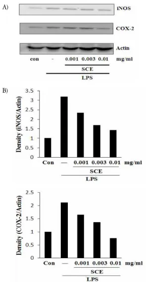 Fig. 4. Effects of SCE on LPS-inducible TNF-α production  Production  of  TNF-α  was  measured  in  the  medium  of  Raw  264.7  cells  cultured with LPS (2 μg/ml) in the presence or absence of SCE for 18 h