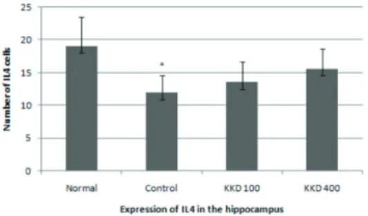 Fig. 9. IL-4 Immunohistochemistry in the  Hippocampus.