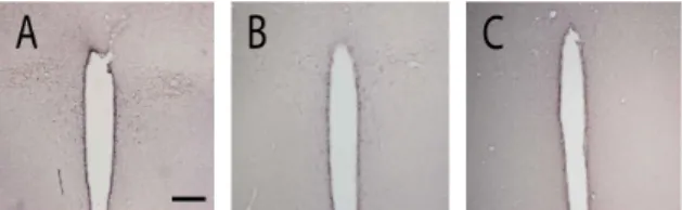 Fig. 4. Expression of corticoreleasing factor-immunoreactive cells in  paraventricular nucleus
