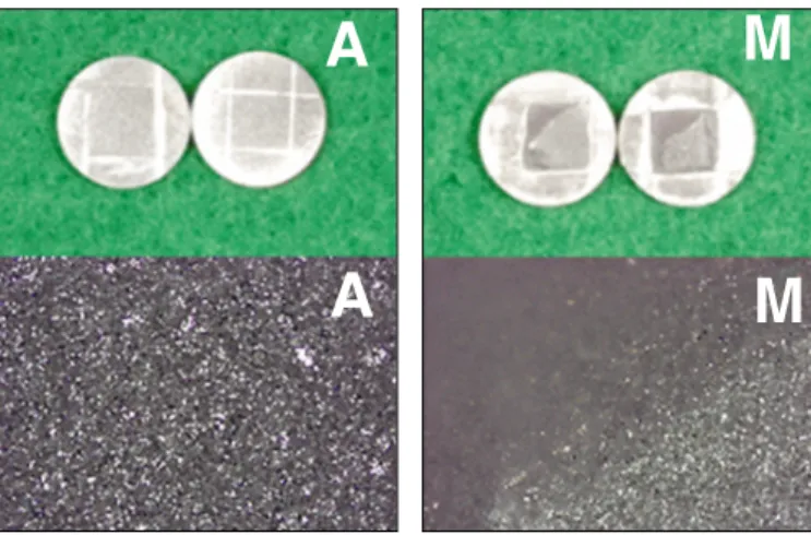 Fig. 3. Test configuration for debonding.