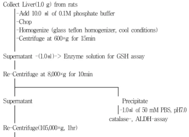 Fig. 1. Preparation of tissue homogenate and enzyme solution  from rat liver