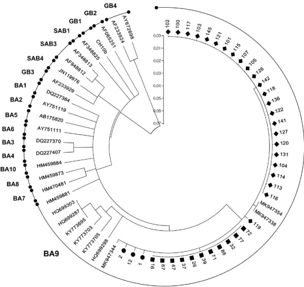Fig. 1. Phylogenetic trees for RSV-B based on the second hypervariable region of the G protein