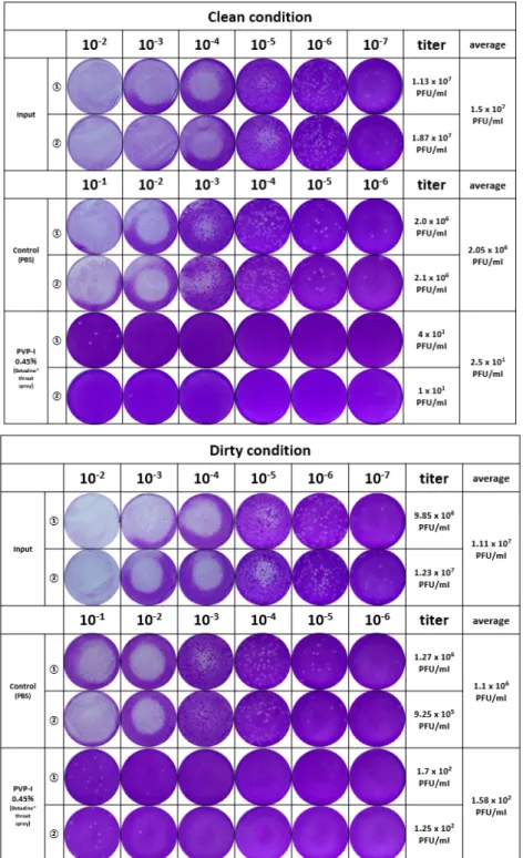 Fig. 4. The plaque assay for titration of SARS-CoV-2 virus from control and experimental groups.