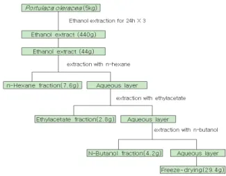 Fig.  1.  Scheme  for  the  extraction  of  P.  oleracea  and  partition  of  the  extract  using  different  solvents