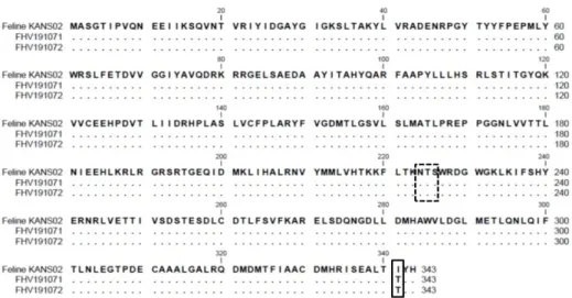 Fig. 6. Alignment of amino acid sequences of TK proteins of the FHV191071 and FHV191072 isolates and the KANS-02 strain