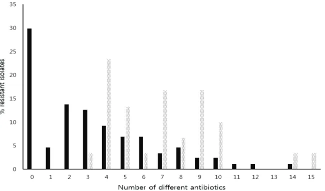 Fig. 1. Incidences of multiple resistance to increasing numbers of antimicrobial agents in integron-positive (▒) and integron- integron-negative (■)  Escherichia coli  isolated in Korea