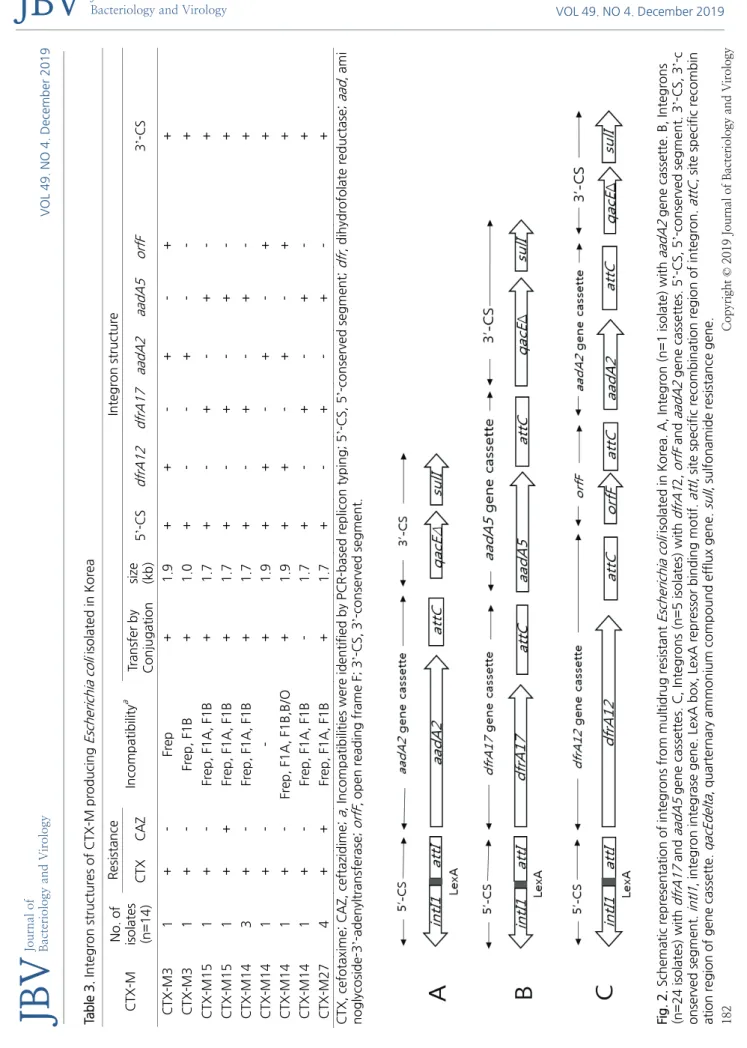 Table 3. Integron structures of CTX-M producing Escherichia coli isolated in Korea  CTX-MNo