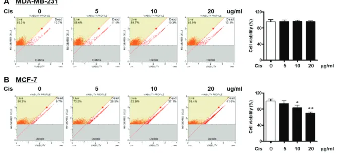 Fig. 1. Effect of Cis-DDP on cell viability of breast cancer cells MDA-MB-231 and MCF-7 cells were treated with indicated  various concentrations of Cis-DDP for 36 h
