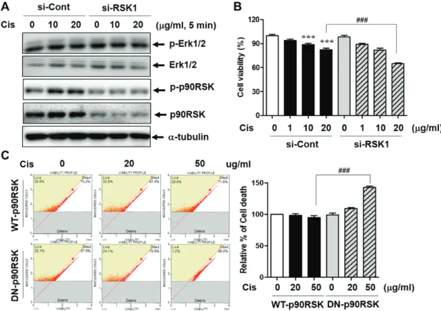 Fig. 2. Involvement of p90RSK activation in cell viability of MDA-MB-231 cells (A) MDA-MB-231 cells transfected with si-Cont  or si-RSK1 for 48 h followed by treatment with the indicated concentrations of Cis-DDP for 5 min