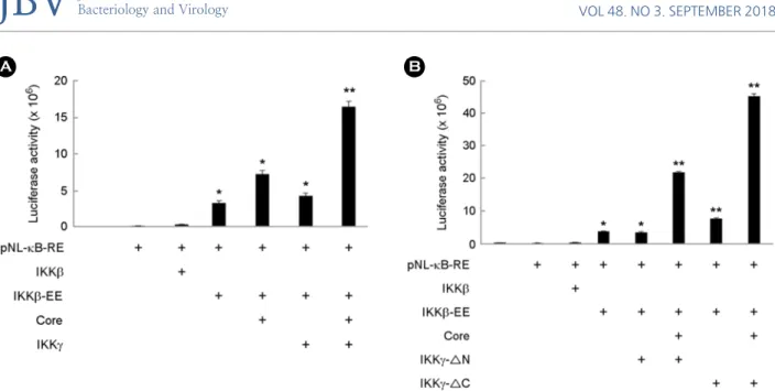 Figure 5. Effect of HCV core on the expression of inflammatory mediators. Raw 264.7 cells were transfected with empty  vector (C) or HCV core-expression plasmid (core)