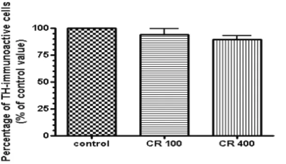 Fig.  3.  Expression  of  TH-immunoreactive  cells  in  the  VTA Control  :  Saline  administrated  group.